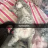 annie.custhag