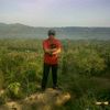novalion291