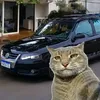 milgrau_kkjj
