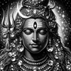 shiva.vibes