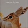 nn_nw44