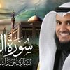 user7391026327980