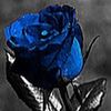 andrea151069