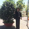 phuongdothikim982