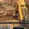 phuchoang704
