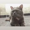 diepvienkgb