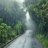 michael_a670