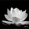 user09029066