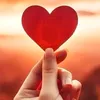 user27260718