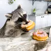 raccoon.with.a.donut