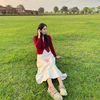 heyshel26