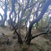 yudiromadhona