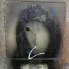 curadordotiktok