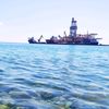 mihriban3347