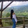 danacardona.11
