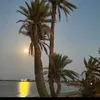 salimtataouine0