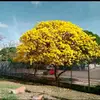 todopasaytodoqueda