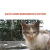 ann_catslover