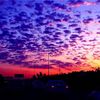 elaine_0014