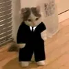 nacho_4392