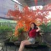 hao0088
