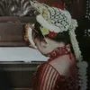 ririnocta100