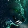 wolf_korea82