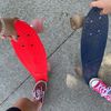 penny_boarding059