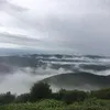 nestoraskatsimari