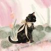 catbls0