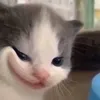chirifu123
