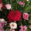 hajraahmed38