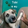 user2791862784521