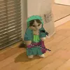 roro_jorooo