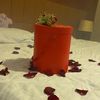 abeerahmed422