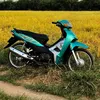 violet2005k1