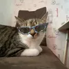 cherryzizi8