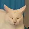 numenat0r