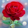 userrwo0fchlia