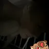 tinnekchoi
