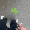 the_fr1d