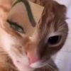 yuritrutko1
