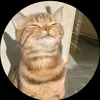 mahdialmasoudi2