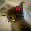 sara_elha0udi.011