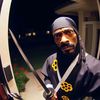 viral.vib3z