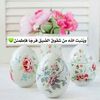 user833231799401