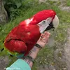 kaspark0