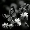 user789050868