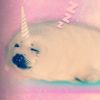 val_the_star1
