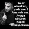ak63yaban